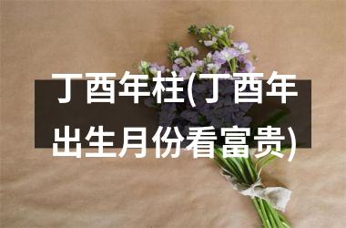 <h3>丁酉年柱(丁酉年出生月份看富贵)
