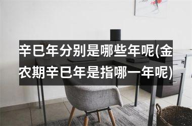 <h3>辛巳年分别是哪些年呢(金农期辛巳年是指哪一年呢)