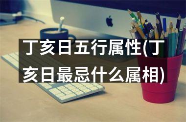 <h3>丁亥日五行属性(丁亥日最忌什么属相)