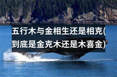 五行木与金相生还是相克(到底是金克木还是木喜金)