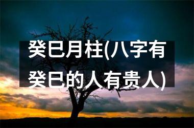 <h3>癸巳月柱(八字有癸巳的人有贵人)