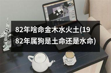 82年啥命金木水火土(1982年属狗是土命还是水命)