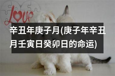 <h3>辛丑年庚子月(庚子年辛丑月壬寅日癸卯日的命运)