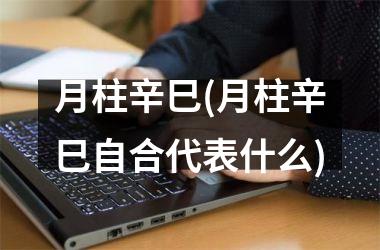 <h3>月柱辛巳(月柱辛巳自合代表什么)