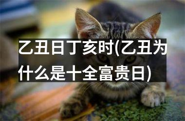 <h3>乙丑日丁亥时(乙丑为什么是十全富贵日)