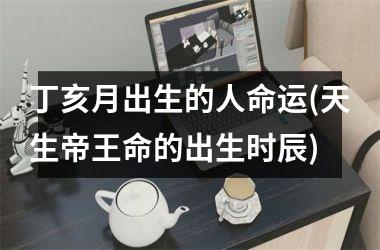 <h3>丁亥月出生的人命运(天生帝王命的出生时辰)