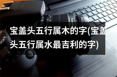 <h3>宝盖头五行属木的字(宝盖头五行属水最吉利的字)
