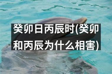 <h3>癸卯日丙辰时(癸卯和丙辰为什么相害)