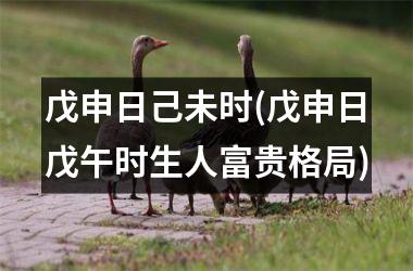 <h3>戊申日己未时(戊申日戊午时生人富贵格局)