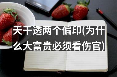 <h3>天干透两个偏印(为什么大富贵必须看伤官)