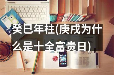 <h3>癸巳年柱(庚戌为什么是十全富贵日)