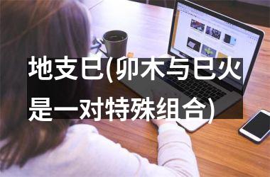 <h3>地支巳(卯木与巳火是一对特殊组合)