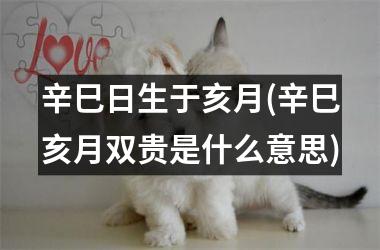 <h3>辛巳日生于亥月(辛巳亥月双贵是什么意思)