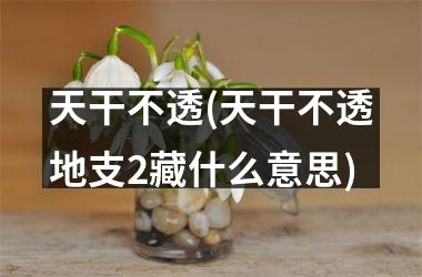 天干不透(天干不透地支2藏什么意思)