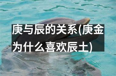 <h3>庚与辰的关系(庚金为什么喜欢辰土)