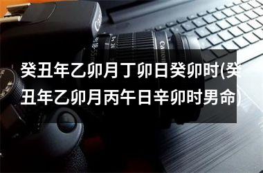 <h3>癸丑年乙卯月丁卯日癸卯时(癸丑年乙卯月丙午日辛卯时男命)