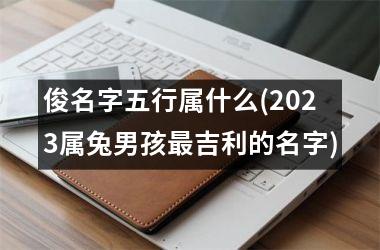 俊名字五行属什么(2025属兔男孩最吉利的名字)
