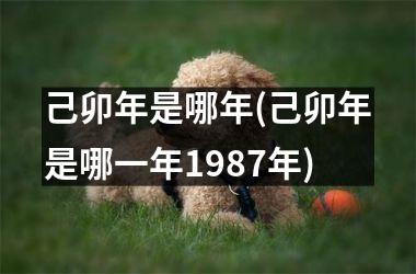 <h3>己卯年是哪年(己卯年是哪一年1987年)