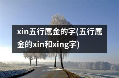 <h3>xin五行属金的字(五行属金的xin和xing字)