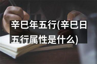 辛巳年五行(辛巳日五行属性是什么)