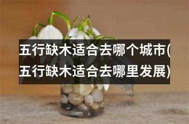 <h3>五行缺木适合去哪个城市(五行缺木适合去哪里发展)
