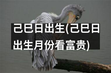 <h3>己巳日出生(己巳日出生月份看富贵)