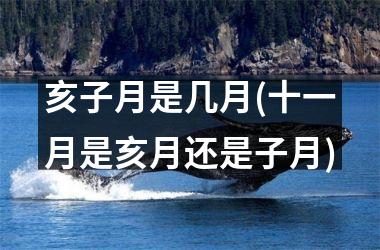 <h3>亥子月是几月(十一月是亥月还是子月)