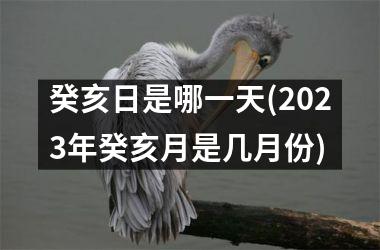 <h3>癸亥日是哪一天(2025年癸亥月是几月份)
