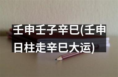 <h3>壬申壬子辛巳(壬申日柱走辛巳大运)