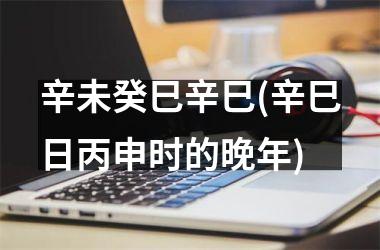 <h3>辛未癸巳辛巳(辛巳日丙申时的晚年)