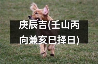 <h3>庚辰吉(壬山丙向兼亥巳择日)