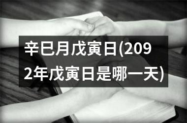 <h3>辛巳月戊寅日(2092年戊寅日是哪一天)
