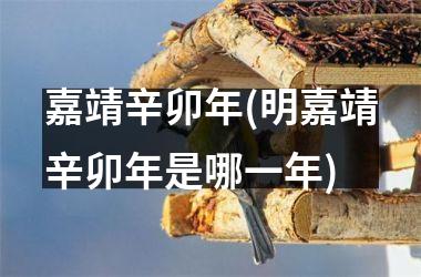 <h3>嘉靖辛卯年(明嘉靖辛卯年是哪一年)