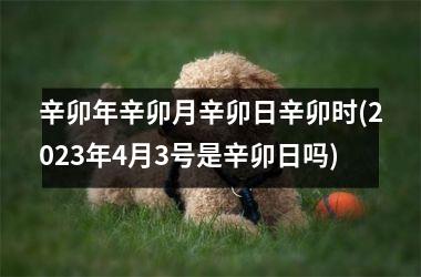 <h3>辛卯年辛卯月辛卯日辛卯时(2025年4月3号是辛卯日吗)