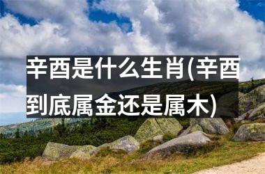 <h3>辛酉是什么生肖(辛酉到底属金还是属木)