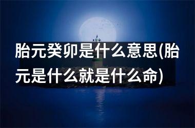 <h3>胎元癸卯是什么意思(胎元是什么就是什么命)