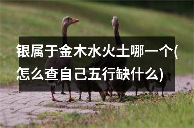 <h3>银属于金木水火土哪一个(怎么查自己五行缺什么)