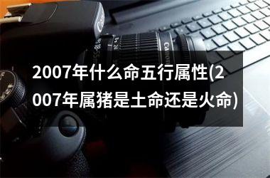 <h3>2007年什么命五行属性(2007年属猪是土命还是火命)