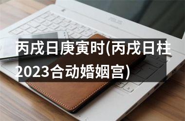 <h3>丙戌日庚寅时(丙戌日柱2025合动婚姻宫)