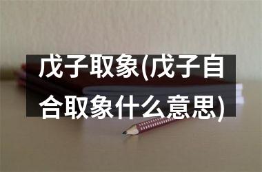 <h3>戊子取象(戊子自合取象什么意思)