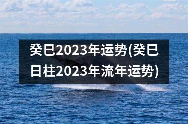 <h3>癸巳2025年运势(癸巳日柱2025年流年运势)