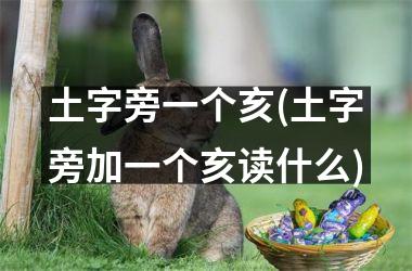<h3>土字旁一个亥(土字旁加一个亥读什么)