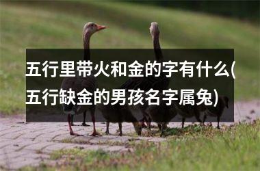<h3>五行里带火和金的字有什么(五行缺金的男孩名字属兔)