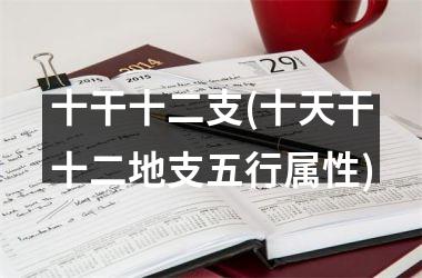 十干十二支(十天干十二地支五行属性)