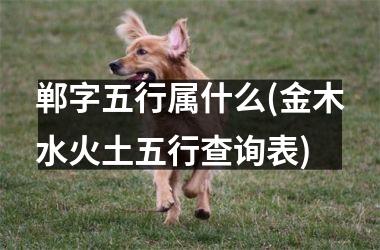 <h3>郸字五行属什么(金木水火土五行查询表)