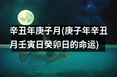 辛丑年庚子月(庚子年辛丑月壬寅日癸卯日的命运)