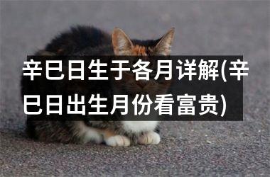 辛巳日生于各月详解(辛巳日出生月份看富贵)