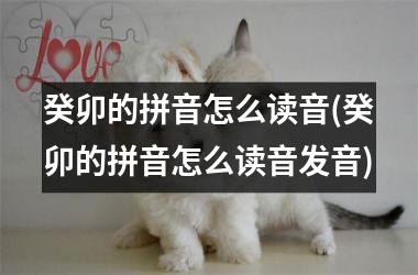 癸卯的拼音怎么读音(癸卯的拼音怎么读音发音)