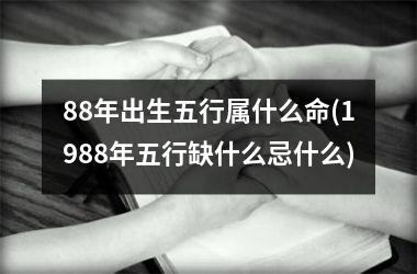 88年出生五行属什么命(1988年五行缺什么忌什么)