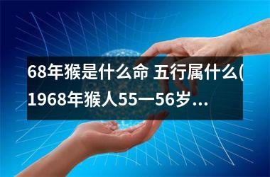 <h3>68年猴是什么命 五行属什么(1968年猴人55一56岁运势如何)
